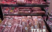 Cảnh báo tình trạng mạo danh các công ty lớn tại Brazil để lừa đảo