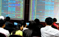 Thị trường chứng khoán 6 tháng đầu năm khởi sắc
