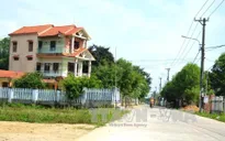 Mùa xuân về trên huyện nông thôn mới Hòa Vang