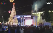 Chiêm ngưỡng cây thông Noel khổng lồ tại Bethlehem