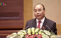 Thủ tướng yêu cầu làm rõ thông tin phản ánh việc chặt phá rừng tại Quảng Trị