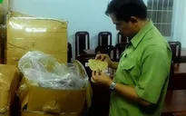 Bắt gần 5 tấn bong bóng cá khô không rõ nguồn gốc