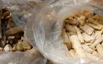 Lâm Đồng: Thu giữ 10 tấn măng chua không rõ nguồn gốc