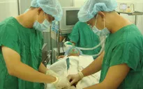Thụ tinh ống nghiệm miễn phí cho 20 cặp vợ chồng hiếm muộn