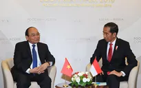 Thủ tướng hội kiến Tổng thống Indonesia