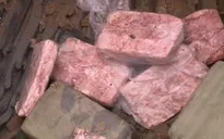 Hà Tĩnh: Tiêu hủy gần 1,5 tấn nầm và thịt động vật bốc mùi