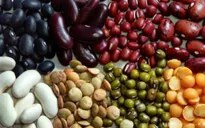 Siêu thực phẩm không phải là thần dược chữa bách bệnh