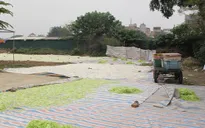 Thực phẩm Tết, nhìn hết muốn ăn