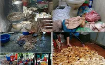 Gần 5.000 người ngộ độc do thực phẩm bẩn trong năm qua