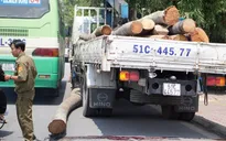 Tai nạn hi hữu: Xe cẩu làm rơi thân dừa đè chết cậu bé 15 tuổi tại Bình Dương