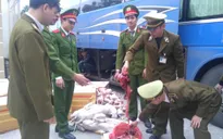 Phát hiện gần 1 tấn thịt chó, mèo và nội tạng bẩn