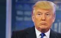Các con của Donald Trump đồng loạt bị dư luận chỉ trích