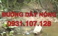 Công bố đường dây nóng nhận tin về thuốc bảo vệ thực vật nhập lậu