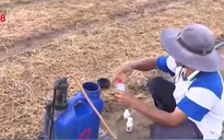 Lạm dụng thuốc bảo vệ thực vật trên rau còn phổ biến