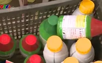 Thuốc diệt cỏ chứa Glyphosate: Thế giới cấm, Việt Nam vẫn bán chạy