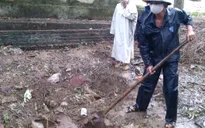 Quảng Ngãi: 6 kho thuốc trừ sâu nguy hiểm, gây ô nhiễm nghiêm trọng