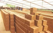 Điểm báo sáng 04/1: Thưởng Tết bằng gạch, quần đùi, bó hương