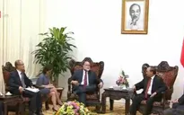 Thủ tướng tiếp Giám đốc Trung tâm phát triển Quốc tế của Đại học Havard