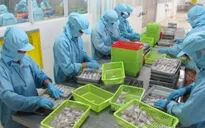 TP.HCM cần tháo gỡ nhiều hơn cho doanh nghiệp vừa và nhỏ