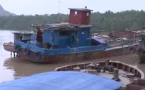 Vận tải đường thủy đang phát huy lợi thế