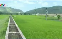 Đầu tư nửa vời, công trình thủy lợi không thể chống hạn