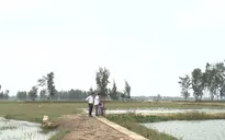 Bất cập hạ tầng thủy lợi phía Đông Quảng Nam