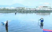 Tổng cục Thủy sản thừa nhận bán giấy lưu hành cho 800 sản phẩm kém chất lượng
