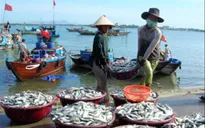 Bổ sung kinh phí cho 22 địa phương phát triển thủy sản