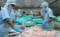 VASEP kiến nghị gỡ khó cho xuất khẩu thủy sản Việt Nam