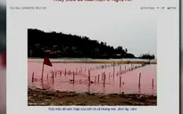 Hiện tượng sông Hoàng Mai không phải thủy triều đỏ