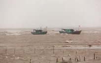 Bão số 1: Kịp thời cứu 3 ngư dân Nam Định trên tàu gặp nạn