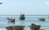 Đà Nẵng "xóa sổ" thuyền thúng và tàu cá dưới 20 mã lực