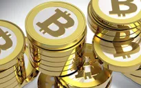 Australia bán đấu giá bộ sưu tập đồng Bitcoin
