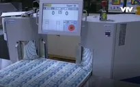 Anh: Người ăn chay phản đối tiền giấy sử dụng mỡ động vật