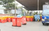 Heo VietGAP nhiễm chất cấm Salbutamol bị tiêu hủy hoàn toàn