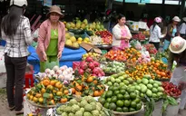 CPI tháng 2 tại Đà Nẵng tăng đột biến