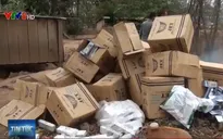 Quảng Trị tiêu hủy lượng lớn thuốc lá và rượu nhập lậu