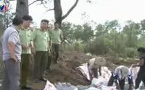 Thái Nguyên: Bắt và tiêu hủy 260 kg lòng lợn ôi thiu, biến màu