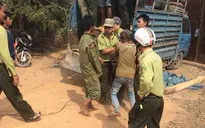 Đăk Lăk: Côn đồ tấn công kiểm lâm, cướp xe gỗ lậu
