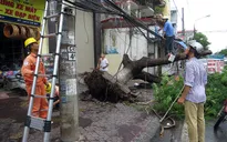 Cấp điện lại cho toàn tỉnh Thái Bình sau bão số 1