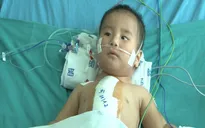 Tìm lại sự sống cho cháu bé 1 tuổi bị bệnh tim bẩm sinh