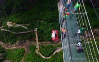 Tổ chức đám cưới bằng cách treo mình dưới cây cầu treo