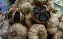 Tỏi đen Lý Sơn thật, giả lẫn lộn