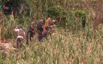 Công an Sơn La bắt nhóm tội phạm ma túy có vũ khí