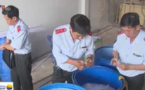 Bạc Liêu mở đợt cao điểm kiểm tra tình trạng bơm tạp chất vào tôm