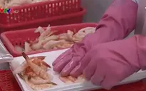 Ứng dụng kỹ thuật, công nghệ mới cải thiện hiệu quả ngành tôm