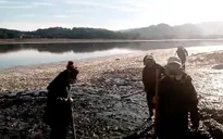 Hàng trăm tấn cá chết trắng, trôi dạt bờ sông Chile