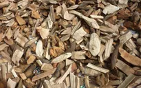 Cảnh báo hậu quả chữa ung thư bằng thuốc Nam