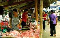TP.HCM kiến nghị thanh tra an toàn thực phẩm trên diện rộng