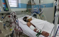 TP.HCM: Thêm một ca tử vong do sốt xuất huyết